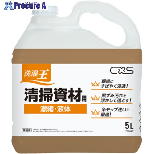 CXS 洗い濯ぎ用中性洗剤 (5L×3本入り口・入口) T35087 1箱 ■▼708-2007 【貨物輸送都度積もり書き】