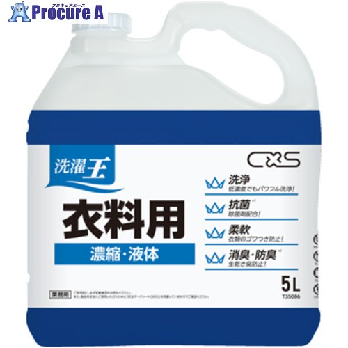 CXS 洗い濯ぎ用中性洗剤 洗い濯ぎ王お召しもの用 15L(5L×3本入り口・入口) T35086 1箱 ■▼708-2008 【貨物輸送都度積もり書き】
