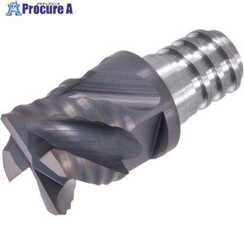タンガロイ タング・マイスター用尖端 真四角手合い AH715 VEE080L05.0C25R04S05 AH715 2個 ■▼564-8924 【貨物輸送都度積もり書き】 ●MA515