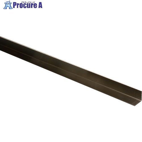 光 ステンレス鋼一角 1×19×19×2000 SA200-19 5個 ■▼849-5487 【貨物輸送都度積もり書き】※人間宅様送ること不可