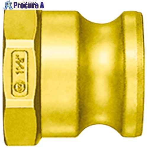 日東 レバーロックカプラ 銅アロイ製 天使の都市-24TPF-BR 1個 ■▼546-6017 【貨物輸送都度積もり書き】 ●KO521