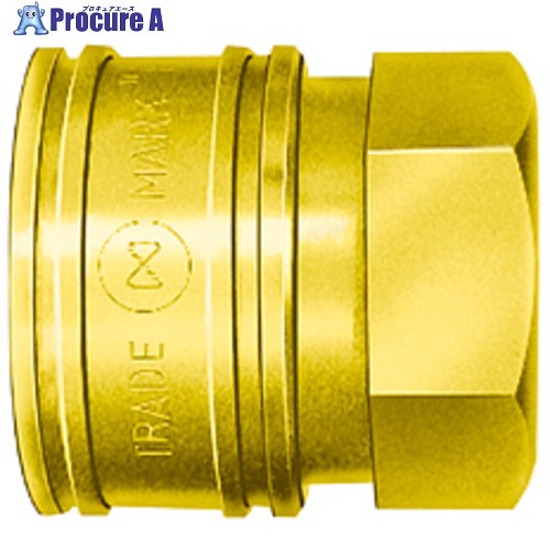 日東 TSPカプラ 真ちゅう製 ふっ素ゴムFKM X-100(00635) 6TSF BRASS FKM 1個 ■▼548-4875 【送料都度見積】 ●KO521