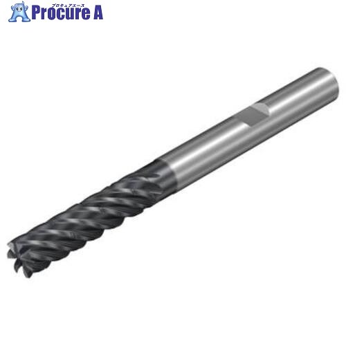 SANDVIK コロミルDura一般加工用超硬エンドミル 12(732) 1730 1K377-1200-XD 1730 1本 ■▼716-3880 【送料都度見積】 ●KO521