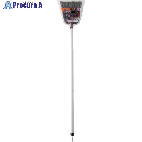 楽天市場】コンドル DAILYCLEAN 庭箒(シダ)L 2 205356 1本 ▽695-6415