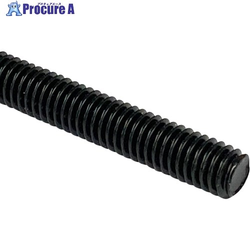 DAIDOHANT カラー寸切ボルト 黒 W3/8×1000mm (50本入) 10195661 1束 ■▼698-1037 【送料都度見積】