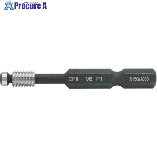 SK 六角軸ビット付ねじゲージ M6xP1.0 GP2H-0610 1個 ■▼700-0937 【送料都度見積】｜プロキュアエース