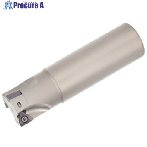 タンガロイ タング・トライ 柄付きカッタ EPA10 EPA10R032M32.0-03N 1個 ▼705-4726 ●MA515｜プロキュアエース
