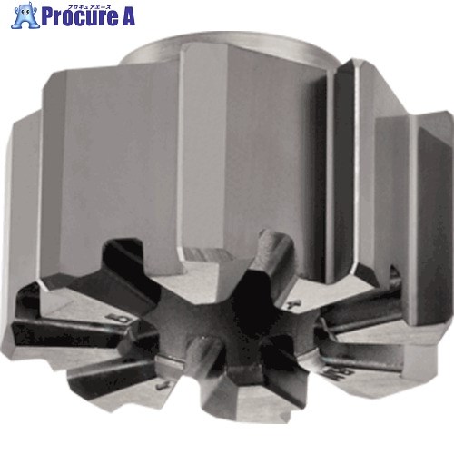 イスカル バヨ・Tリーマー 止まり穴加工用ヘッド RM-BN-H7SA IC908 RM-BN7-20.000-H7SA IC908 1個 ▼108-8054 ●O585