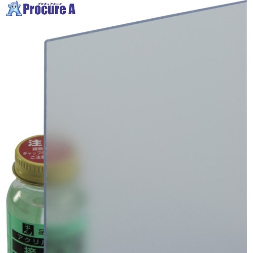光 エンビ板透明つや消し2×910×900mm EB992-13 1枚 ◇▼217-8200