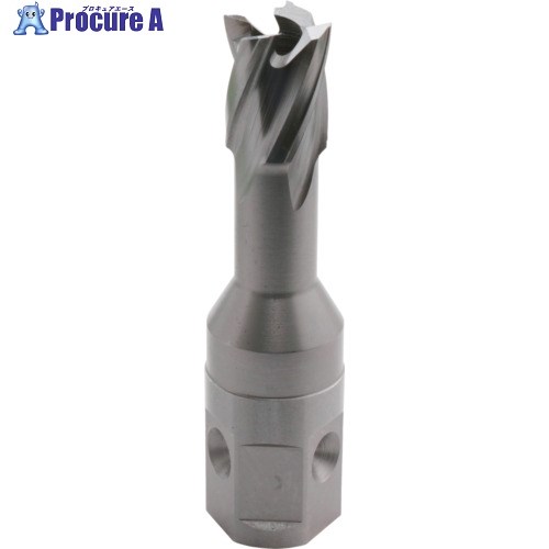 育良 LBクイックカッターISK-2QC145(ハイス刃)(54605) ISK-2QC145 1本 ▼658-5457