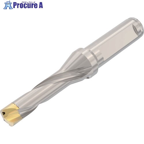 セコ ドリル加工 Crownloc(クラウンロック) SD103 SD103-15.00/15.99-50-16R7 1個 ▼483-3924
