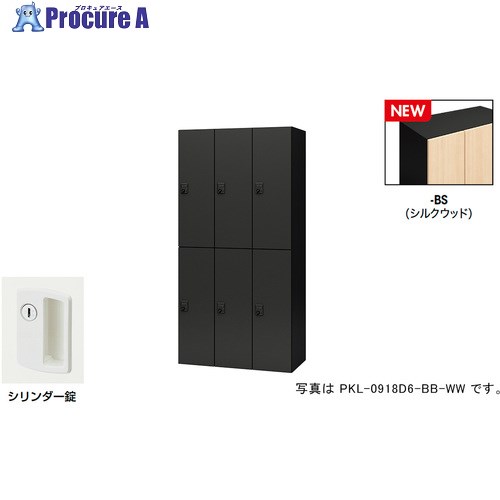 NAIKI 個人的ロッカー(6人用) 衣嚢 PKL型 ラージタイプ 円柱錠 PKL-09186-BS 1台 ■▼692-7890 ※人間宅様送ること不可