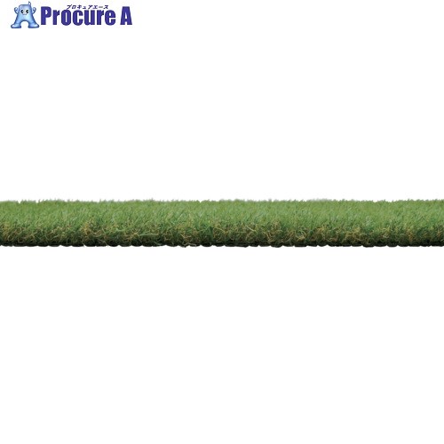 IRIS 107986 防草人工芝 1m×5m BP-3015R 1巻 ▼678-9546