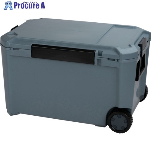 JEJアステージ クーラーボックス コアフラックス #65 CF-65IG CRFX65 1個 ▼695-7287