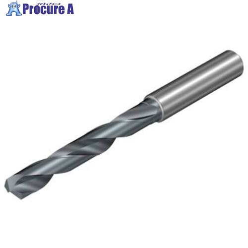 SANDVIK CoroDrill Dura462 マルチ被削材向けの超硬ソリッドドリル15.7mm(722) X2BM 462.1-1570-047A0-XM X2BM 1本 ■▼692-6141 【送料都度見積】 ●KO521