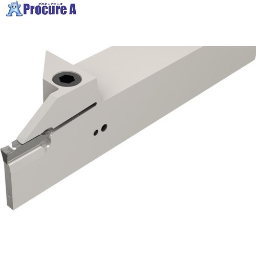 イスカル ドゥーグリップ 突っ切り・溝入れ加工用ホルダー DGTR/L-BC-T DGTR 25BC-4T25 1本 ▼112-0265 ●O585