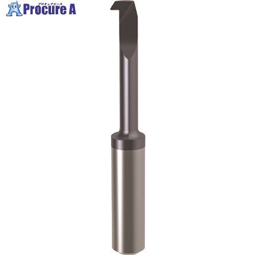 GUHRING 溝入れ工具 インサート 内径加工用(引き加工用) nanoAコート GT106.3247.020.32.50.R 25858 6.050 1本 ■▼180-4431 【送料都度見積】 4,691円