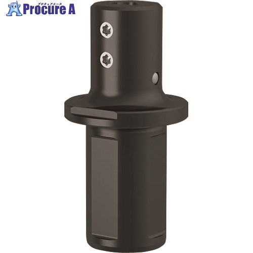 GUHRING 溝入れ工具 丸シャンクホルダ・4 面平取り付き レギュラ- GB106.0750.300.00.22.S.IK 25302 6.010 1本 ■▼180-7568 【送料都度見積】