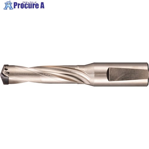 GUHRING 刃先交換式超硬ドリルホルダ3×D用 29.51～32.00mm 5242 32.000 1本 ■▼180-9050 【送料都度見積】