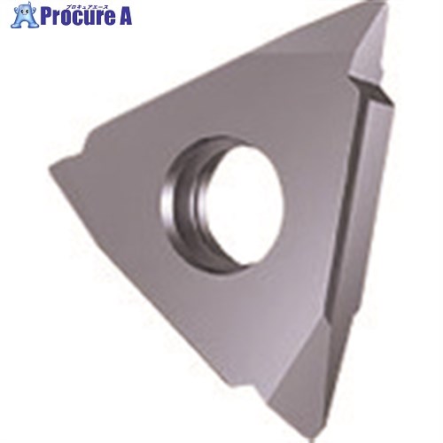 GUHRING 溝入れ工具 インサート 外径ねじ切り さらい刃なし メートルねじ用 GG305.TM00.100.AA.04.R 25658 12.010 2本 ■▼180-9184 【送料都度見積】 5,788円