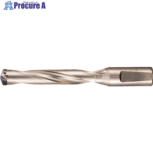 GUHRING 刃先交換式超硬ドリルホルダ5×D用 27.51～29.50mm 5243 29.500 1本 ■▼181-5422 【送料都度見積】