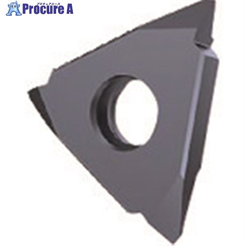 GUHRING 溝入れ工具 インサート 外径ねじ切り さらい刃なし メートルねじ用 TiCNコート GG305.TM00.200.AA.04.L 25657 12.050 2本 ■▼182-3293 【送料都度見積】