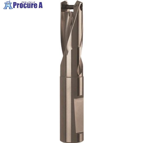 GUHRING ドリルホルダ 1.5XD用 15.50～15.99mm 4106 15.500 1本 ■▼182-6322 【送料都度見積】