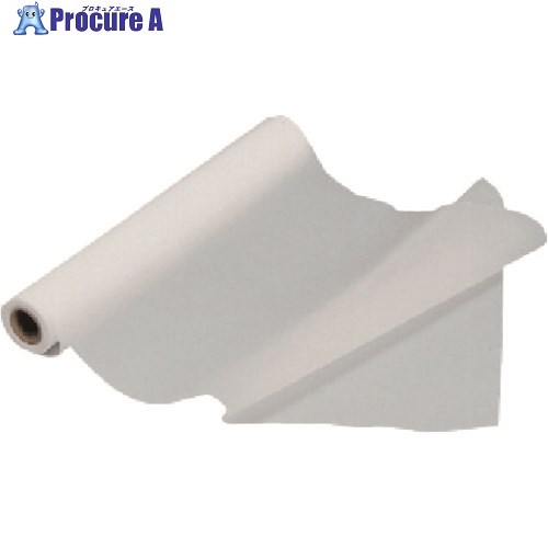 TGK PTFEシート 0.3×300mm 10m 638-17-97-09 1巻 ■▼183-6108 【送料都度見積】