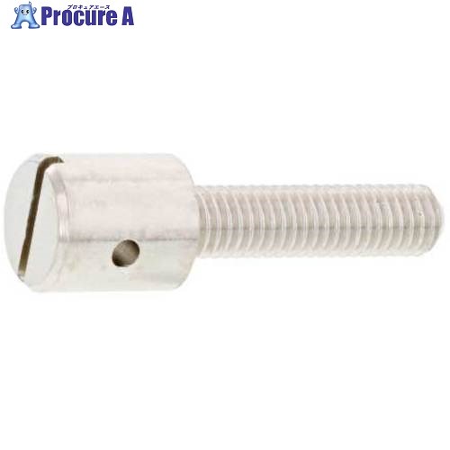 SUNCO ニッケルECO-BS封印ビス 4×25 (300本入) 00-01-J04C-0040X0250-05 1箱 ■▼230-2118 【送料都度見積】