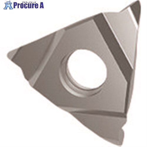 GUHRING 溝入れ工具 インサート 外径端面リセス加工用 GA305.0240.060.AA.04.R 25622 12.003 2本 ■▼233-8603 【送料都度見積】
