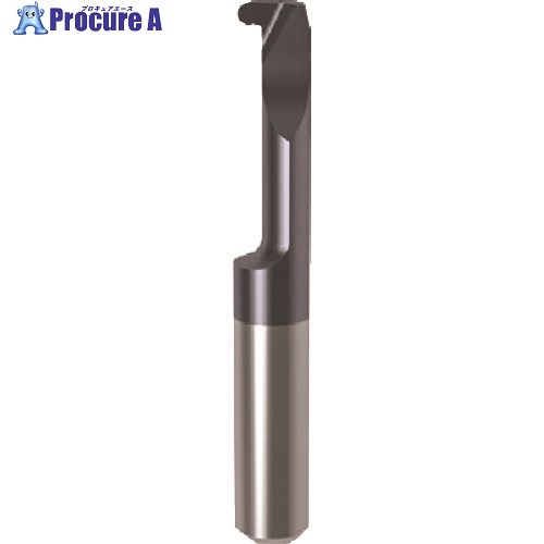 GUHRING 溝入れ工具 インサート 内径フルR溝入れ加工用 nanoAコート GE104.0080.040.22.30.R 25134 4.004 1本 ■▼234-0190 【送料都度見積】