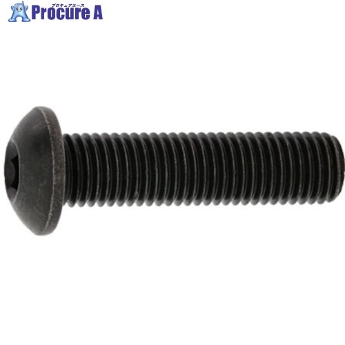 SUNCO SUSボタンCAP(UNF5/16X1”1/4(50本入) A0-02-1040-8025-8120-00 1箱 ■▼240-9310 【送料都度見積】 40,559円