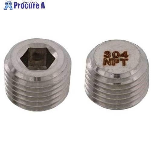 SUNCO SUS316Lプラグ 沈み NPT 3/8 (50本入) A0-12-5640-8030-0000-00 1箱 ■▼241-3046 【送料都度見積】
