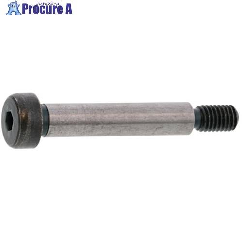 SUNCO GOSHOショルダーBT SHタイプ 12 X 45 (100本入) A0-00-600G-0120-0450-00 1箱 ■▼241-3478 【送料都度見積】
