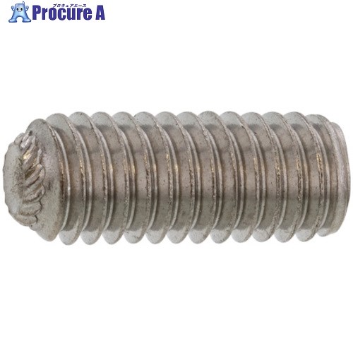 SUNCO ステンHS(ギザサキ 6×8 (1000本入) A0-02-5050-0060-0080-00 1箱 ■▼241-5568 【送料都度見積】