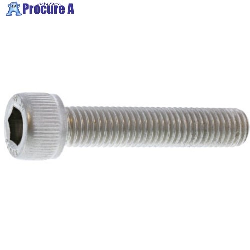 SUNCO A2-80プレミアステン CAP(全ネジ 10X45X45 (50本入) A0-02-P010-0100-0450-00 1箱 ■▼241-6128 【送料都度見積】