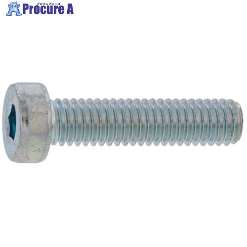 SUNCO SUSローヘッドCAP 12×75 (40本入) A0-02-L000-0120-0750-00 1箱 ■▼241-6156 【送料都度見積】