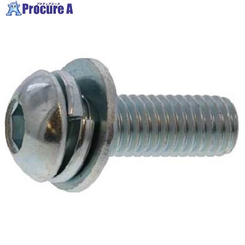 SUNCO 三価ホワイト WAボタン-SPタイプ 6 X 20 (400本入) A0-00-8730-0060-0200-03 1箱 ■▼241-8246 【送料都度見積】