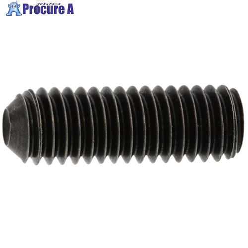 SUNCO ステンHS(アンスコ くぼみ先 12×20 (200本入) A0-02-500A-0120-0200-00 1箱 ■▼242-1799 【送料都度見積】