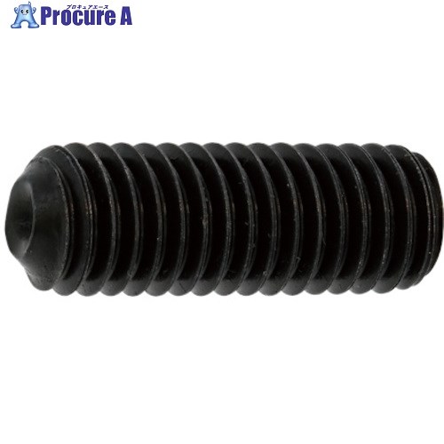 SUNCO 三価ブラック HS(クボミ先 8×16 (500本入) A0-00-5000-0080-0160-04 1箱 ■▼242-2117 【送料都度見積】