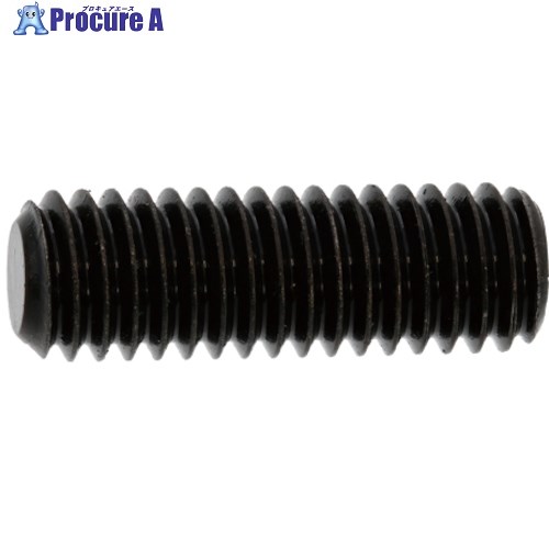 SUNCO 三価ホワイト HS(アンスコ(平先 6×16 (1000本入) A0-00-501A-0060-0160-03 1箱 ■▼242-2232 【送料都度見積】