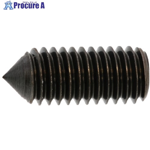 SUNCO ニッケル HS(ナガイ トガリ先 2.5×8 (1000本入) A0-00-502M-0025-0080-05 1箱 ■▼242-2376 【送料都度見積】