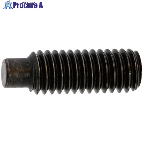SUNCO HS(アンスコ(棒先 12×45 (100本入) A0-00-503A-0120-0450-00 1箱 ■▼242-3882 【送料都度見積】