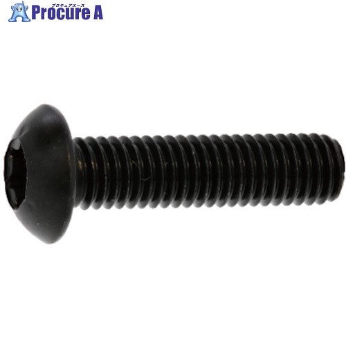 SUNCO ステンレス TORX-ボタンCAP 3×10 (1000本入) A0-02-T100-0030-0100-00 1箱 ■▼242-5587 【送料都度見積】