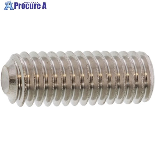 SUNCO ステンHS(日産ネジ くぼみ先 20×50 (30本入) A0-02-500N-0200-0500-00 1箱 ■▼242-6450 【送料都度見積】