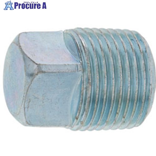 SUNCO 生地 プラグ(4角頭(TKS R 1” (25本入) A0-00-572T-8100-0000-00 1箱 ■▼242-6758 【送料都度見積】