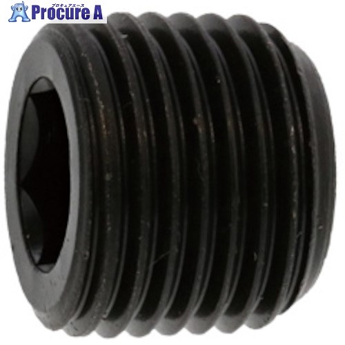 SUNCO プラグ(沈み(日星 PP2 PP2 1”1/2 (25本入) A0-00-571L-8140-0000-00 1箱 ■▼242-6773 【送料都度見積】