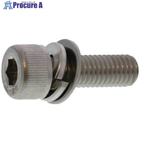SUNCO 10.9CAP P＝4 6 X 20 (300本入) A0-00-9040-0060-0200-00 1箱 ■▼243-2537 【送料都度見積】