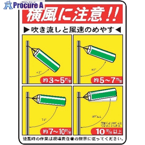 仙台銘板 WE61 吹流しと風速のめやす 4170610 10枚 ■▼243-8345 【送料都度見積】 11,535円