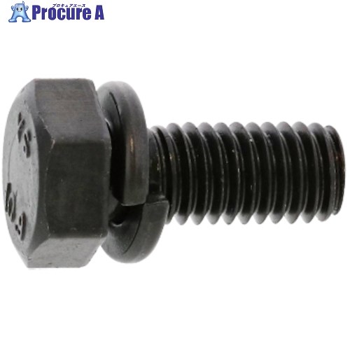SUNCO 10.9 トリーマP＝2 6×25 (300本入) 11-00-0402-0060-0250-00 1箱 ■▼246-8233 【送料都度見積】